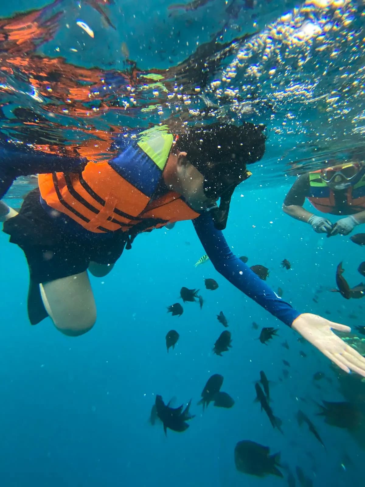 Snorkeling (Additional on Diving Trip) 6