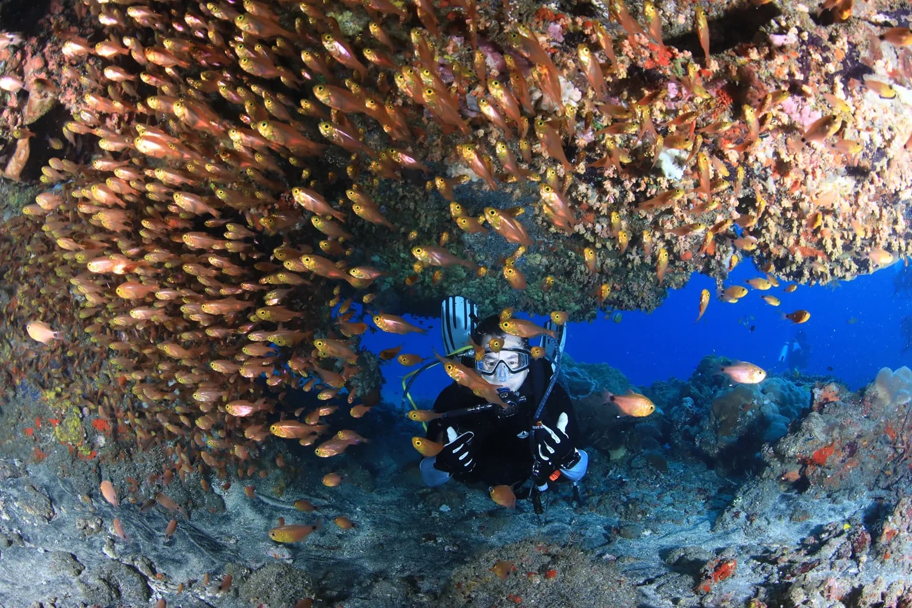 Perfect Buoyancy Specialty Course 3