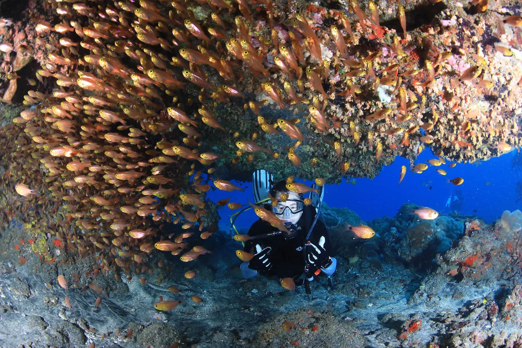 Perfect Buoyancy Specialty Course 2