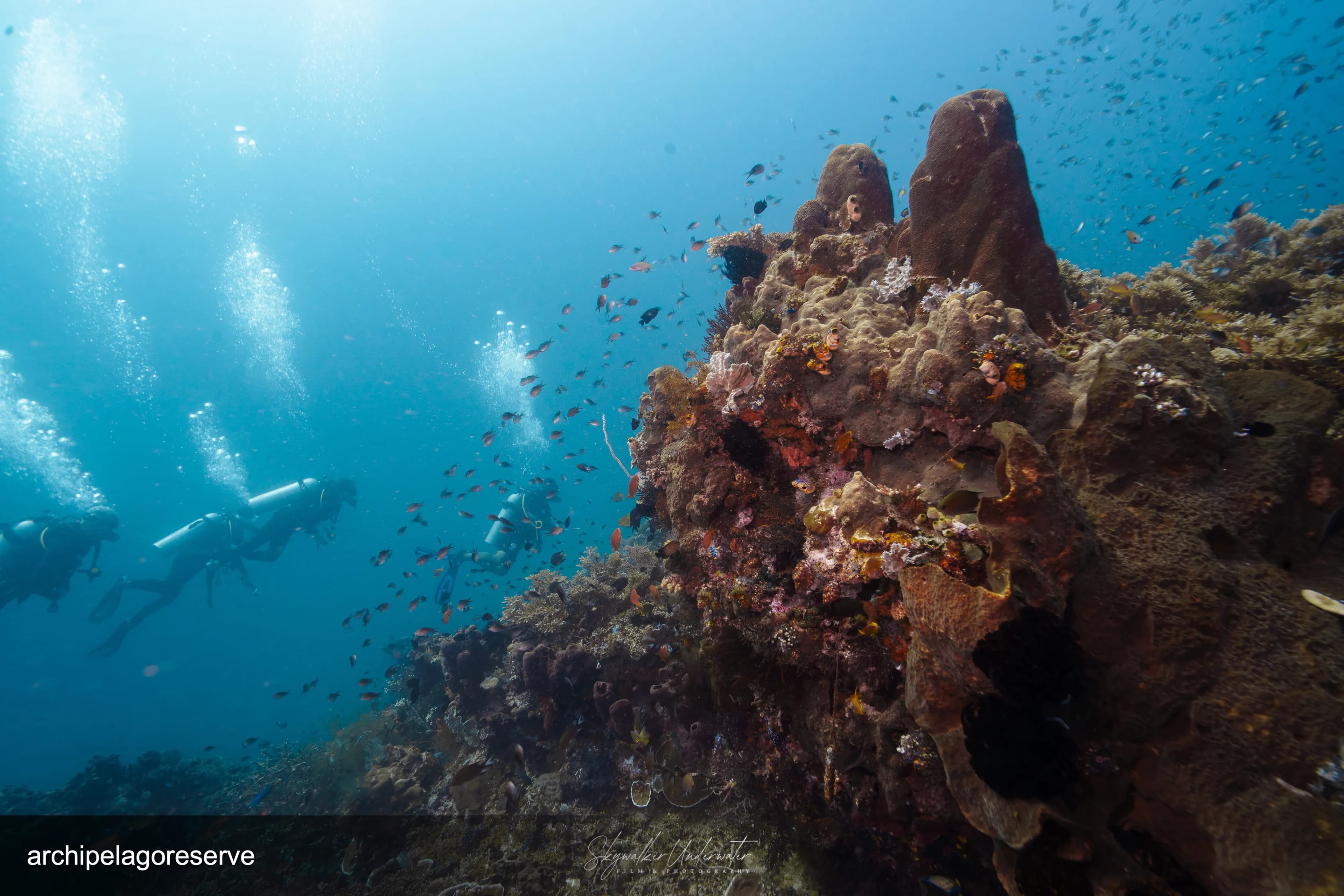 7D/6N Diving Photography - Special Guest, David 6